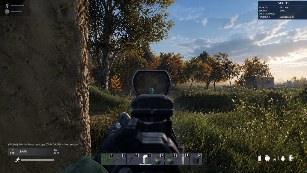 DayZ in-game overlay with status HUD after load
